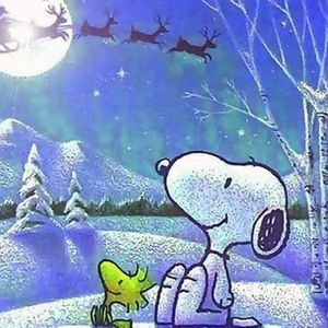 Meet your Posher, Carolyn